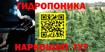 прущие крисы Шебекино