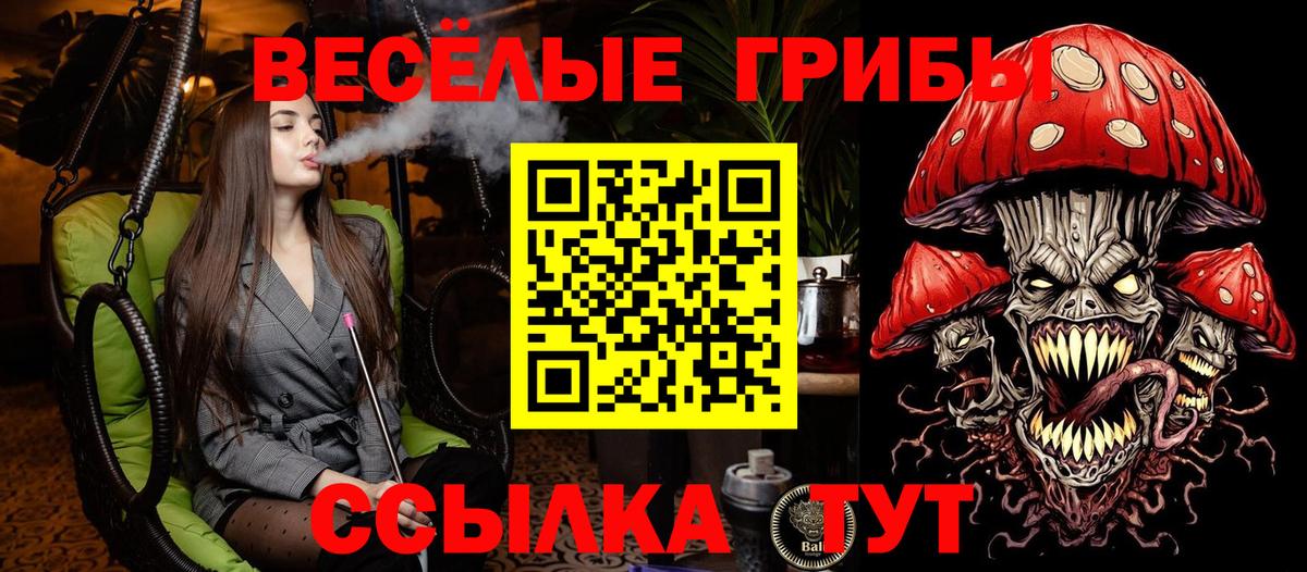 Галлюциногенные грибы Psilocybe Камышин