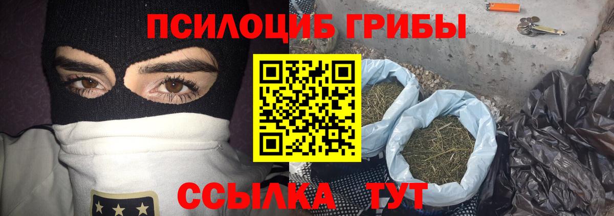 Галлюциногенные грибы мухоморы  Вход с VPN  наркота  Камышин 
